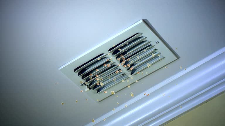 Best Residential Air Duct Cleaning  in Chester, WV